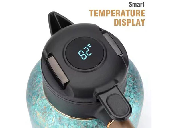 titanium coffee pot with temperature display